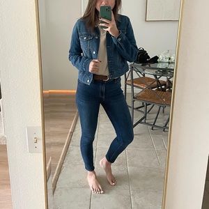 Hollister Blue Leggings